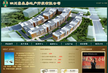 �Ĵ���ɭ���خa(ch��n)�_(k��i)�l(f��)���޹�˾